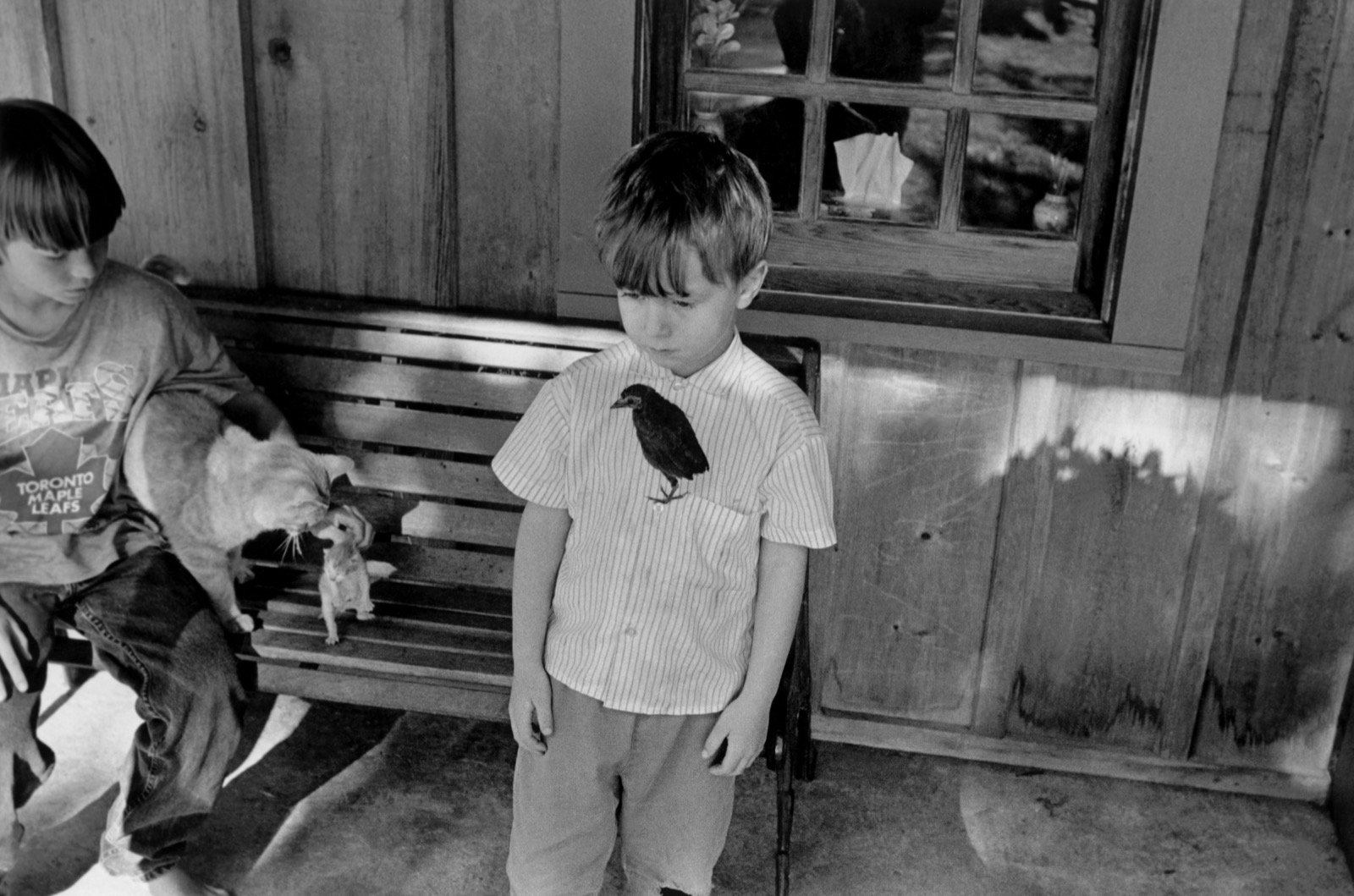 Bambino con un uccellino appoggiato sulla camicia, accanto a un altro bambino con un gatto