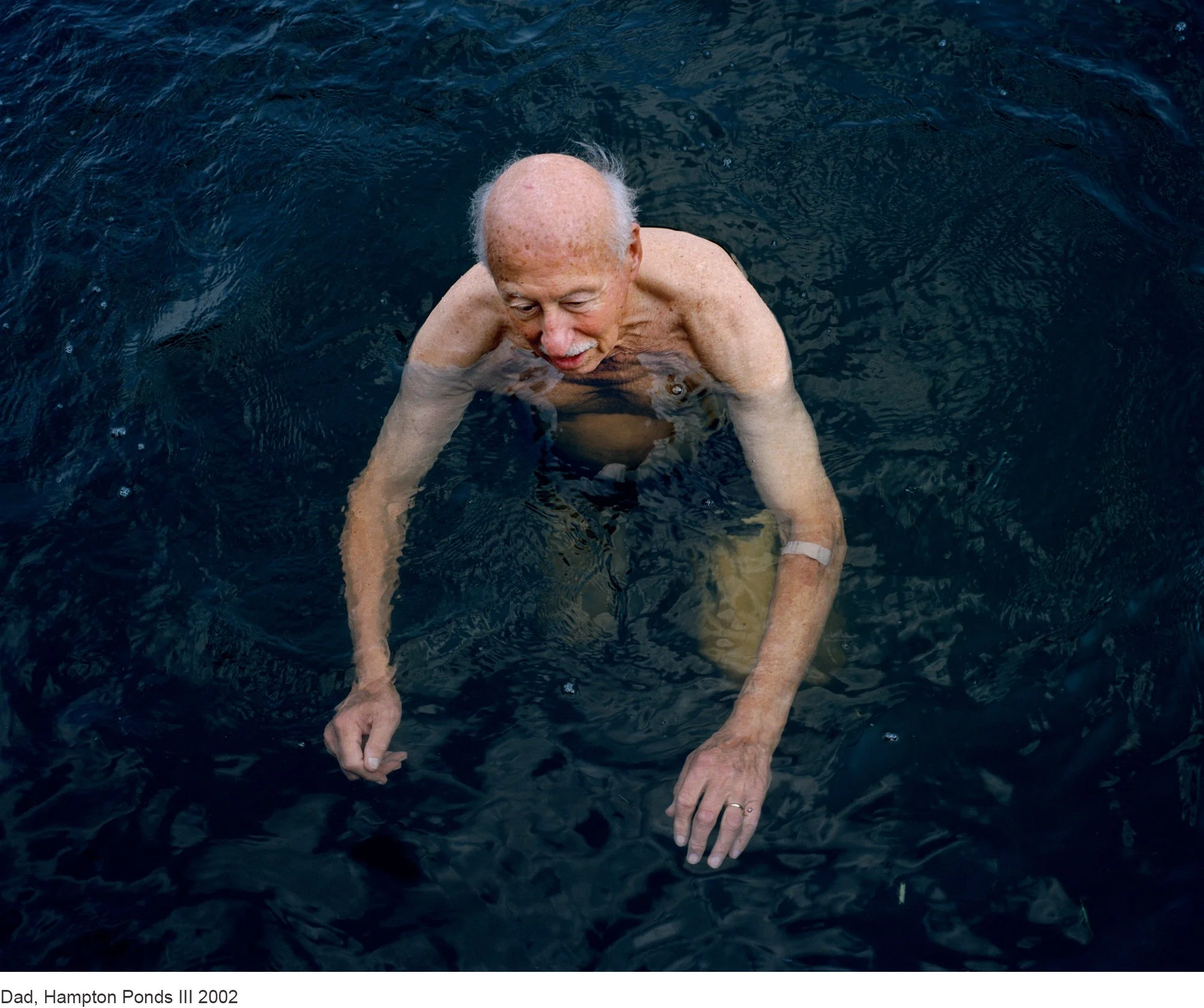 Doug DuBois, Dad, Hampton Ponds III, 2002