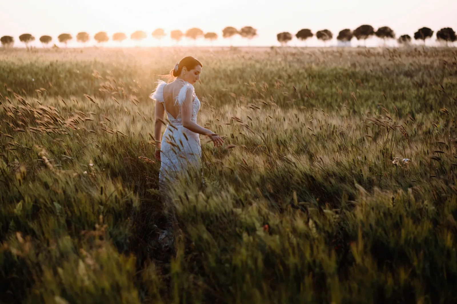 A bride walking through a wheat field at sunset, a line of trees along the horizon