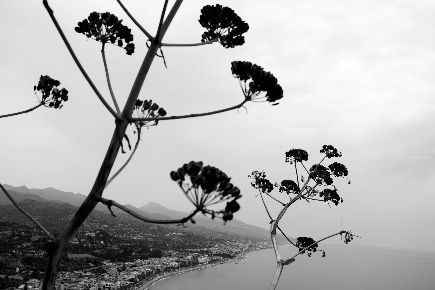 DONATIEN + ISABELLA wedding, Forza d'Agrò, Sicily, photographed by Edoardo Morina and Giovanni Cocco, 1 of 46