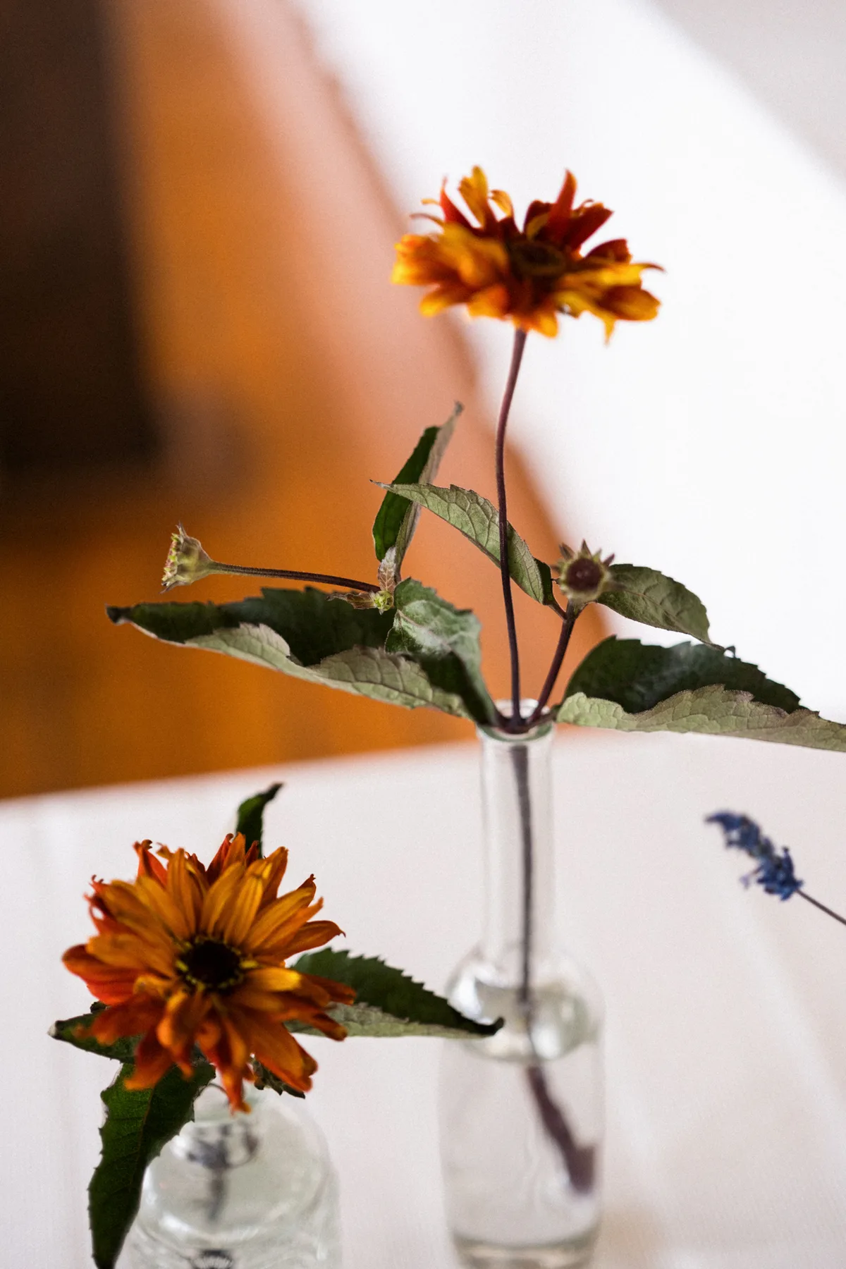FRANCESCA + PASQUALE wedding, photographed by Edoardo Morina and Giovanni Cocco, 4 of 40