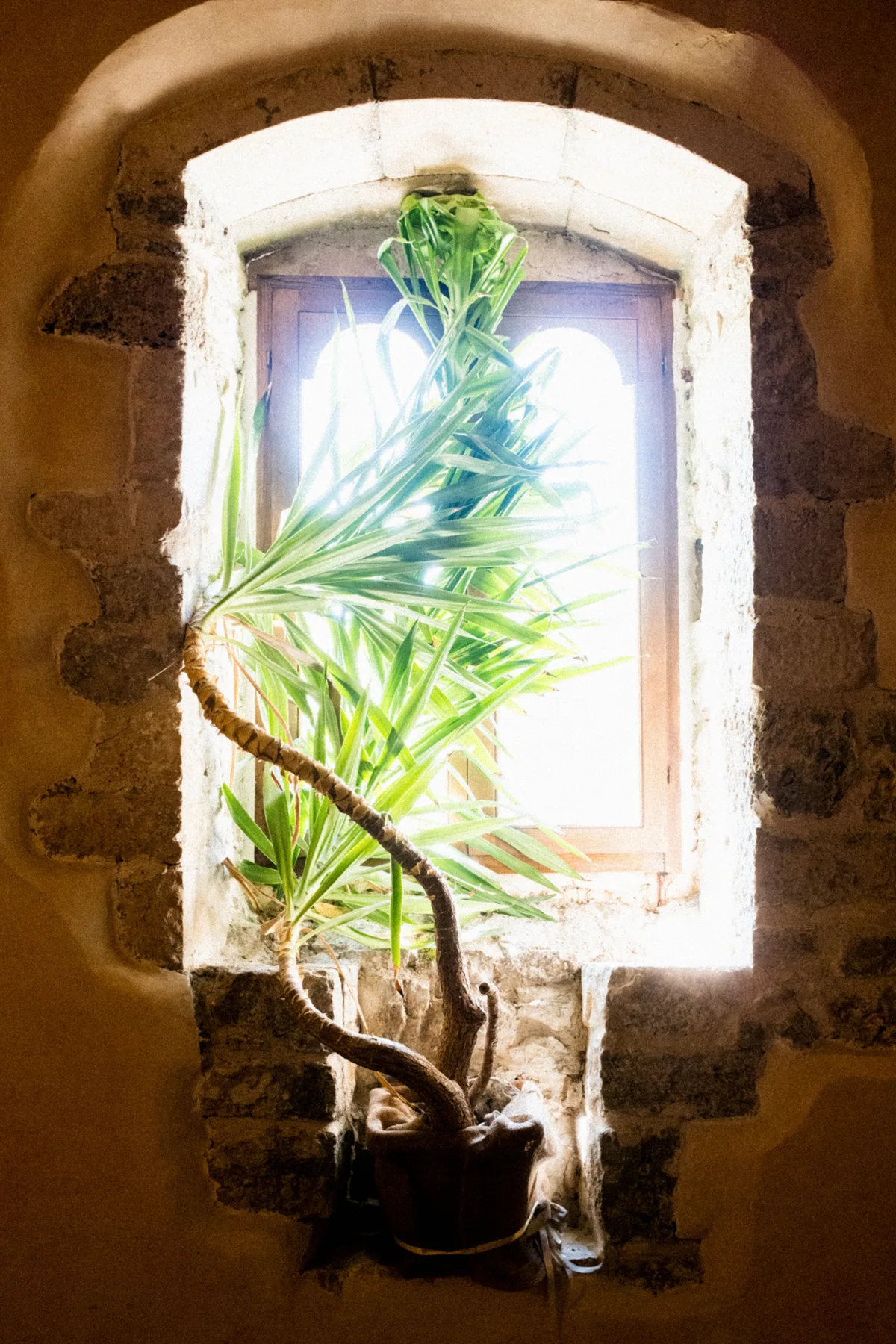 FRANCESCA + PASQUALE wedding, photographed by Edoardo Morina and Giovanni Cocco, 7 of 40