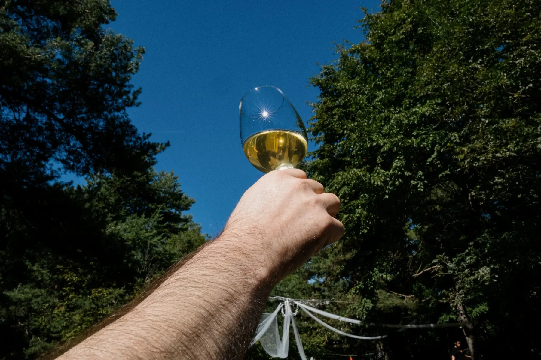 MICHELE + ANISIA wedding, Pannone, Trentino, photographed by Edoardo Morina and Giovanni Cocco, 49 of 89