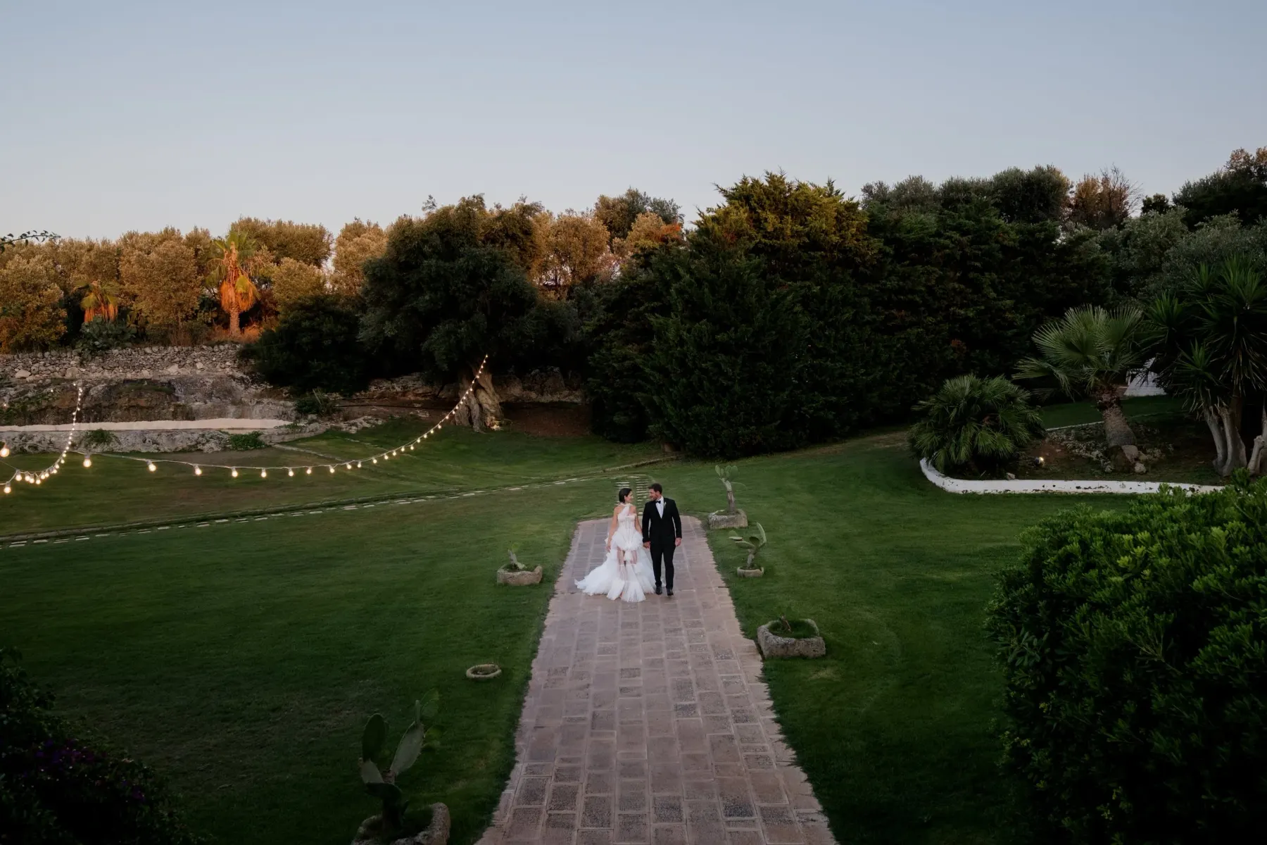 An avenue of trees strung with lights at dusk, the couple far down it