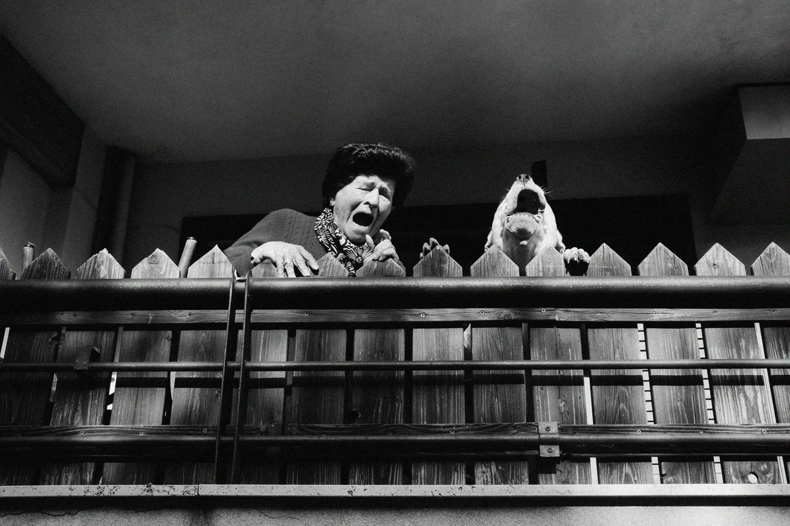 A woman calling down from a balcony beside her dog, seen from the street below, in black and white
