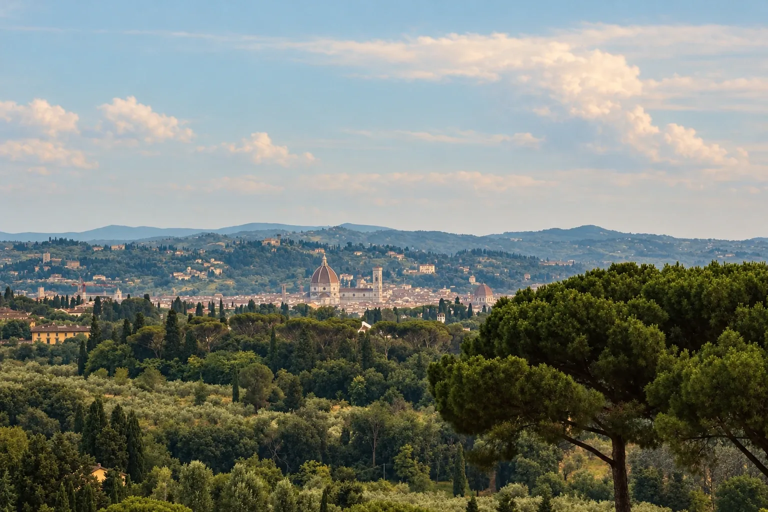 Florence seen from the hills, the dome of the cathedral small among olive groves and cypresses